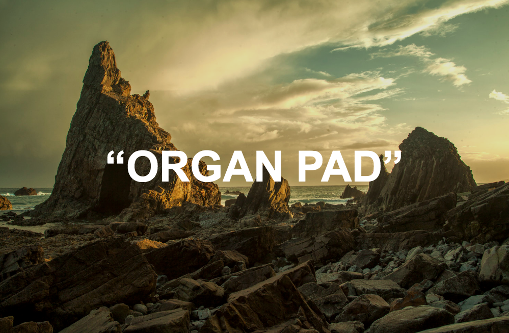 "ORGAN PAD"