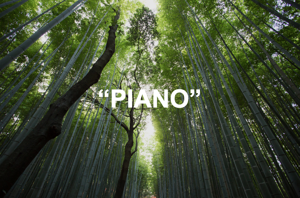 "PIANO"