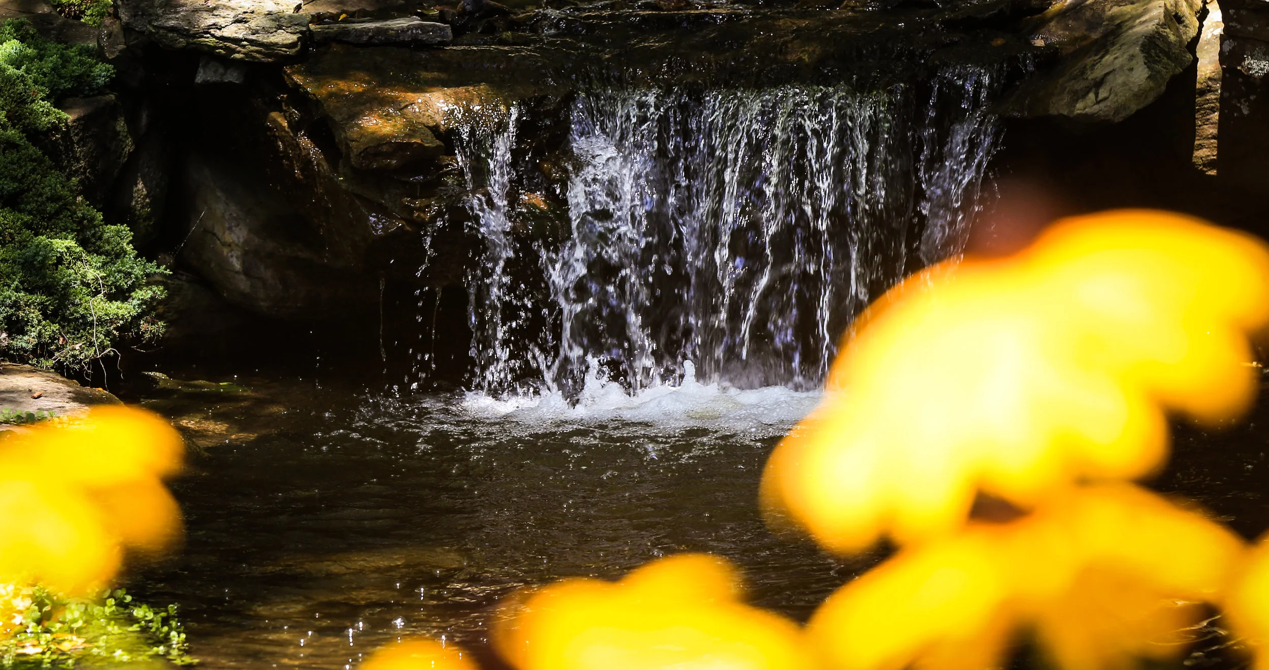 Make A Reservation Post American Style Restaurant