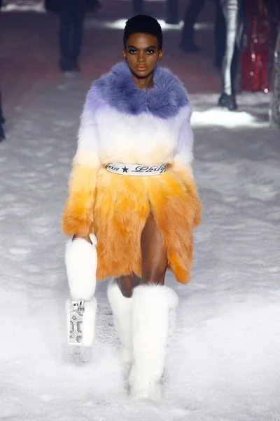 philippplein (2).jpg
