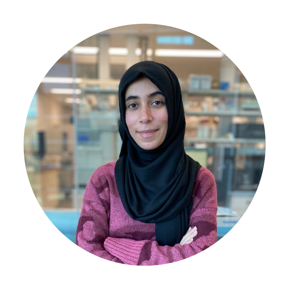 Amna Abbas — The Wright Lab