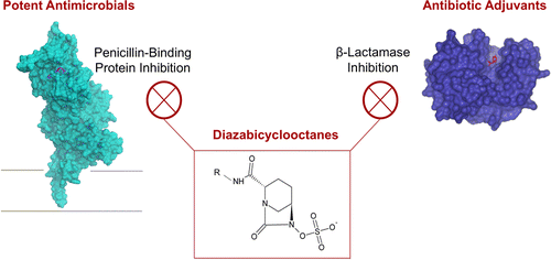Structural and Kinetic Characterization of Diazabicyclooctanes as Dual Inhibitors of Both Serine-β-Lactamases and Penicillin-Binding Proteins