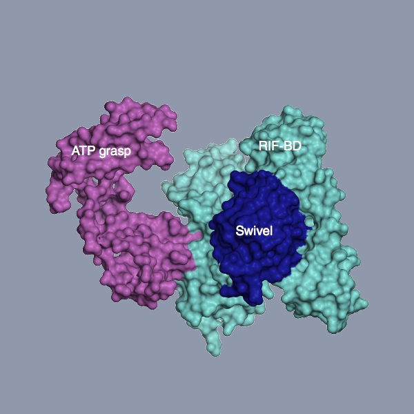 RPH.jpg