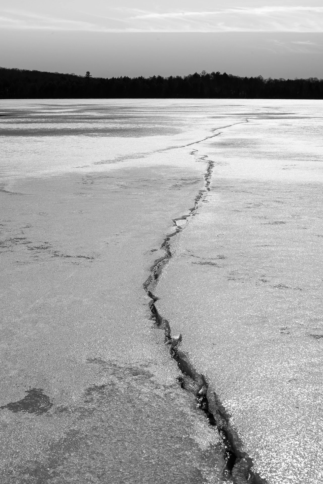DSC_8425.jpg