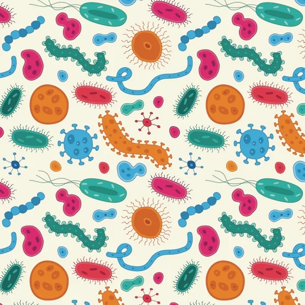bacteria.jpg