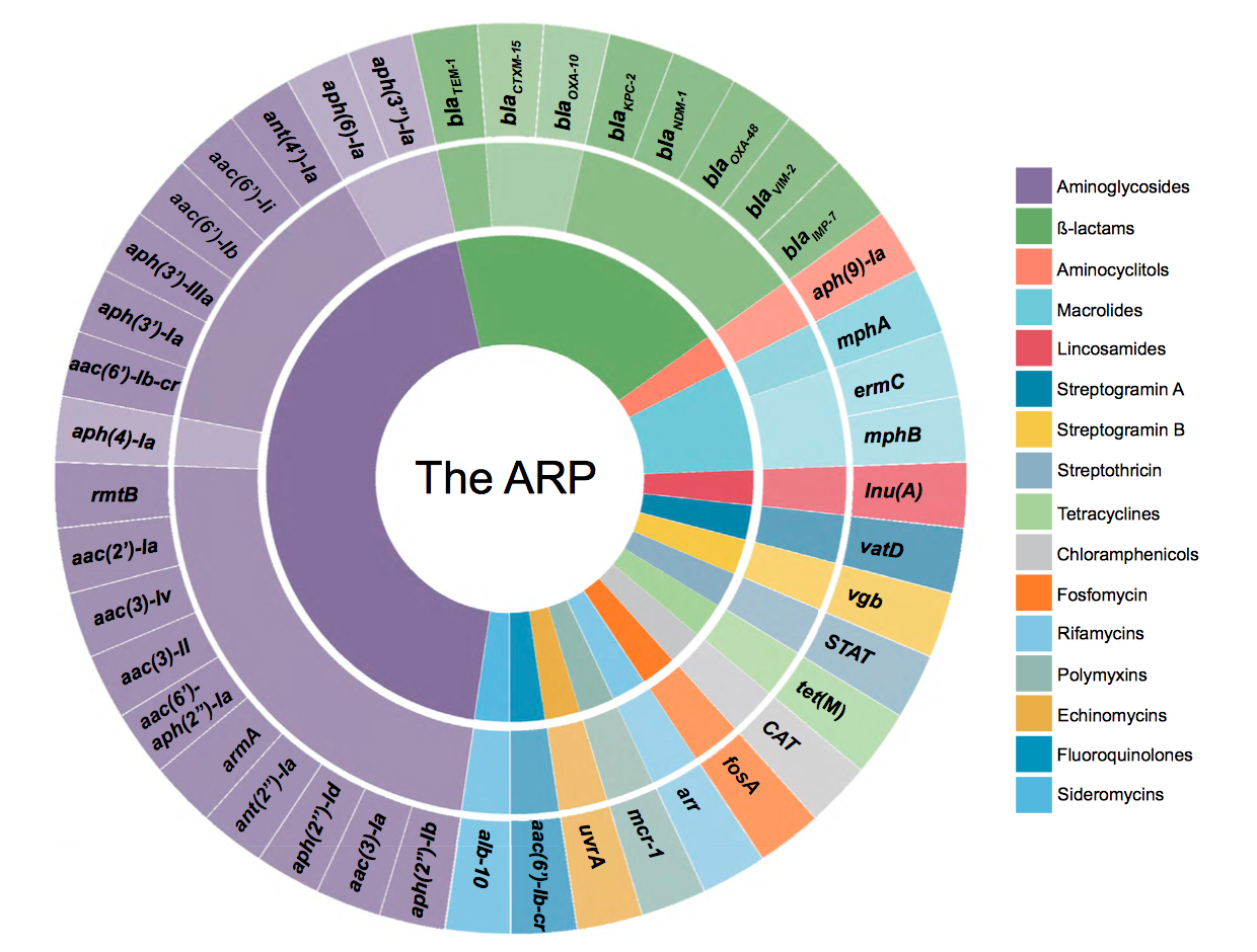 A Common Platform for Antibiotic Dereplication and Adjuvant Discovery