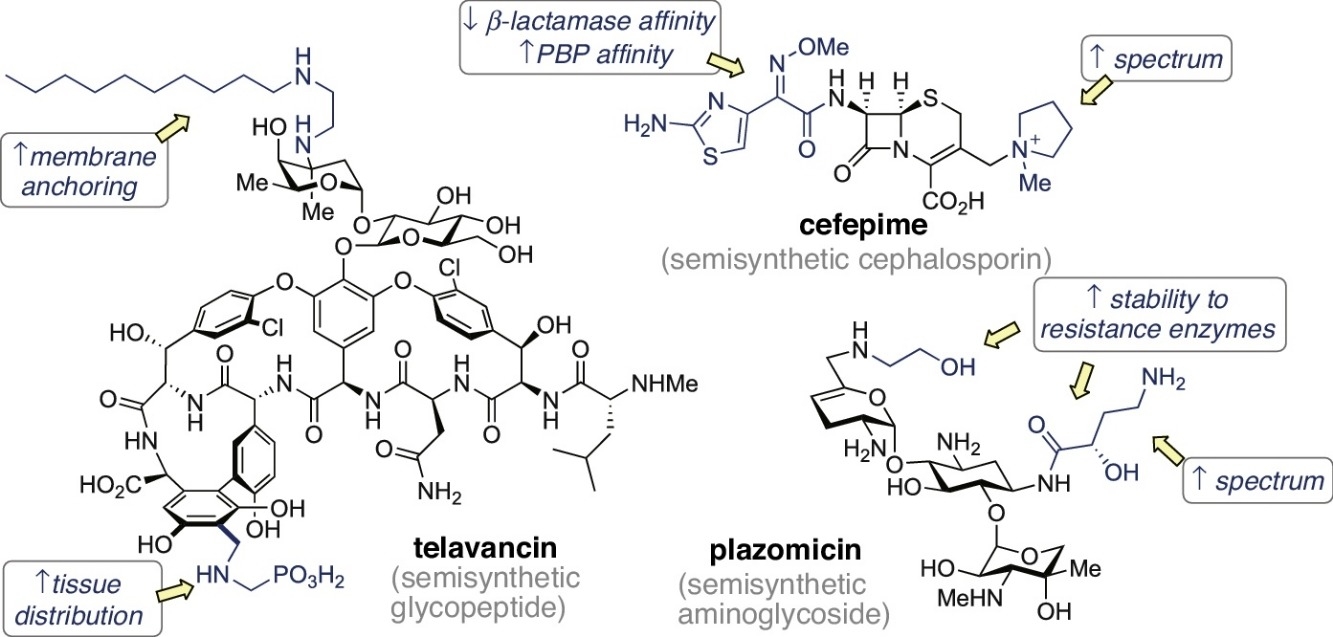 Evolving medicinal chemistry strategies in antibiotic discovery