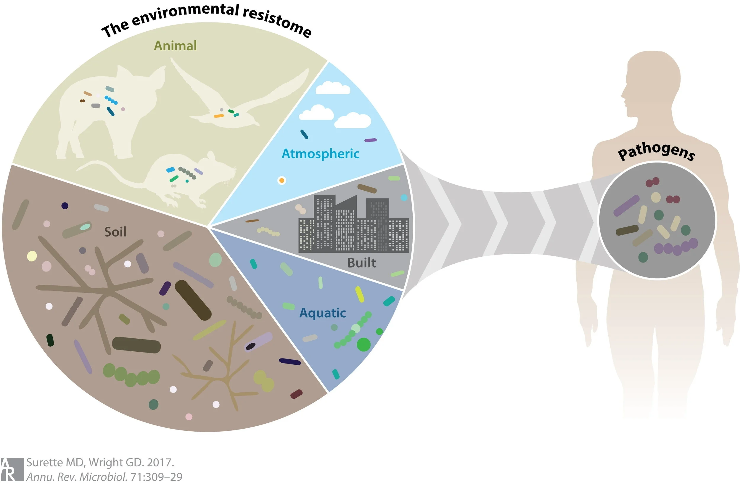 Lessons from Environmental Antibiotic Resistome