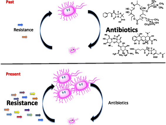 Antibiotic resistance: it’s bad, but why isn’t it worse?