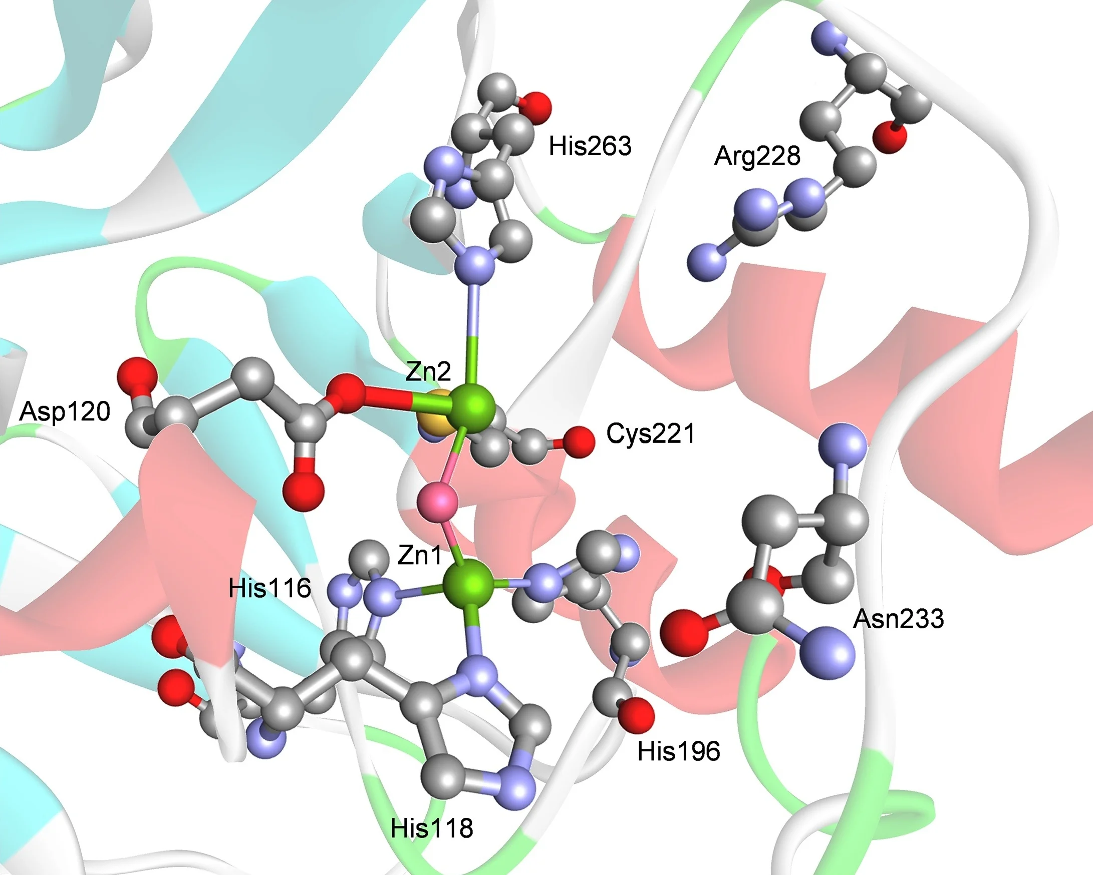 Inhibitors of metallo-β-lactamases.