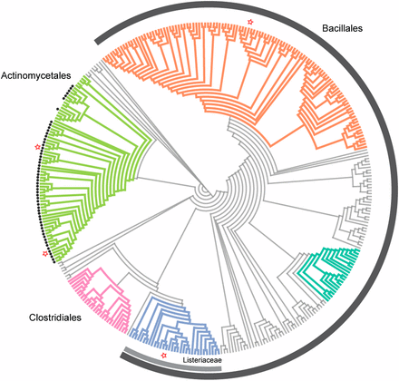A rifamycin inactivating phosphotransferase family shared by environmental and pathogenic bacteria