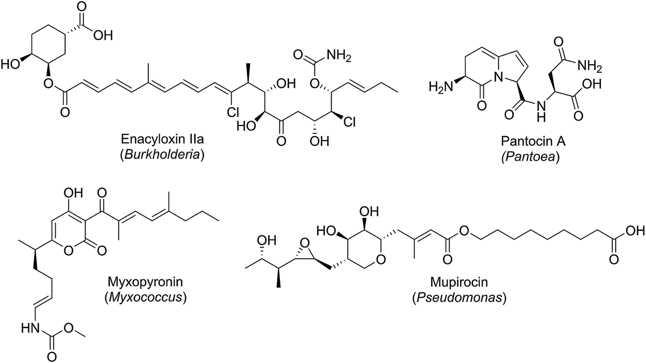 Opportunities for natural products in 21st century antibiotic discovery.
