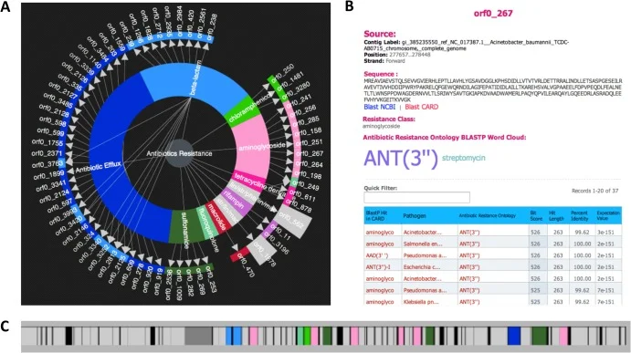The comprehensive antibiotic resistance database