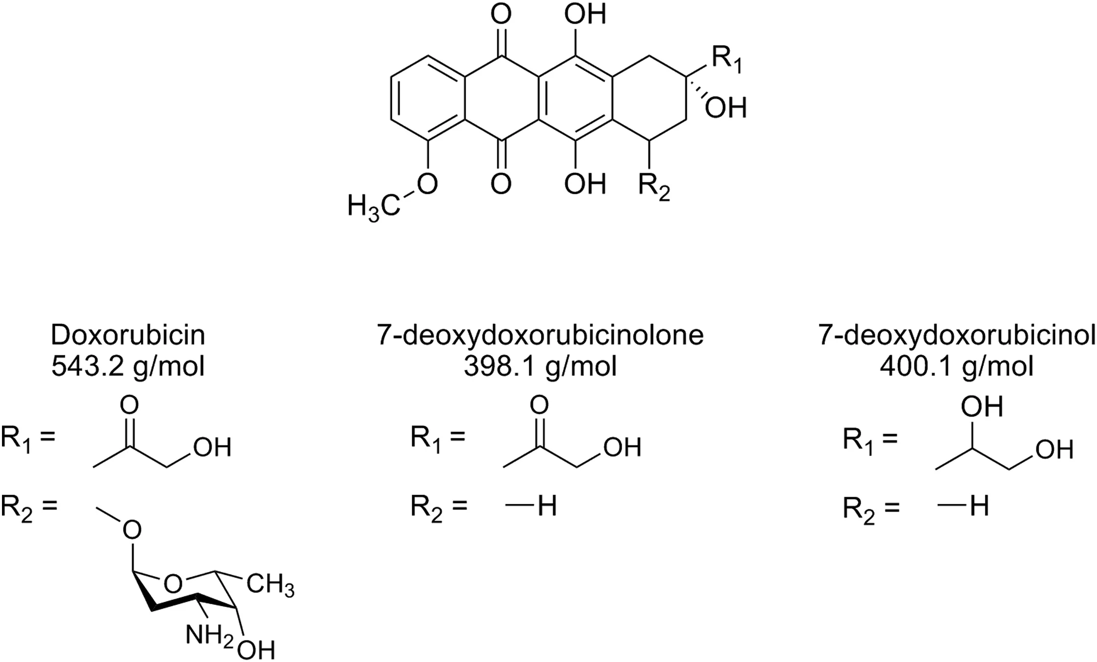Bacterial inactivation of the anticancer drug doxorubicin