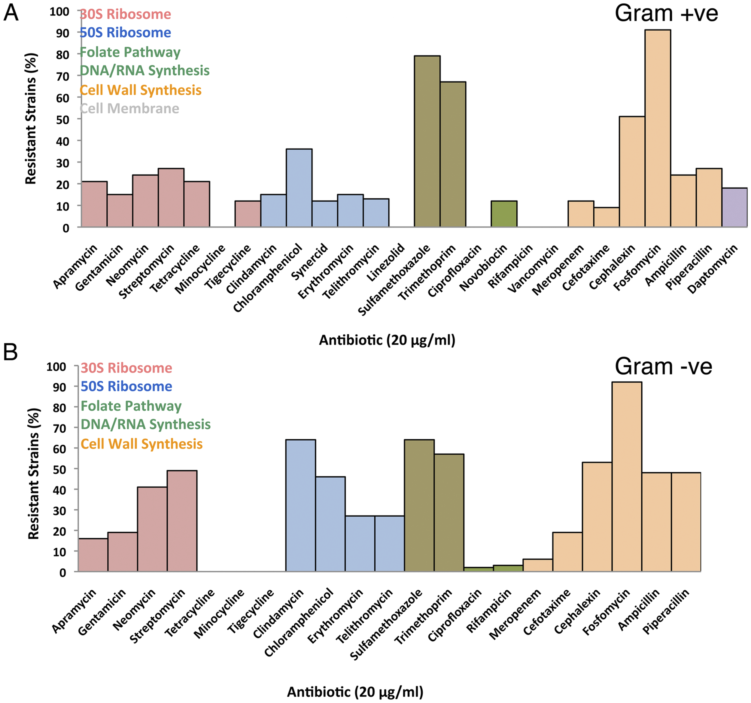 Antibiotic resistance is prevalent in an isolated cave microbiome