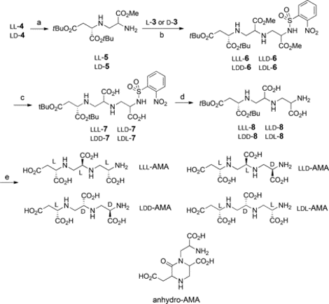 Total Synthesis and Activity of the Metallo‐β‐lactamase Inhibitor Aspergillomarasmine A