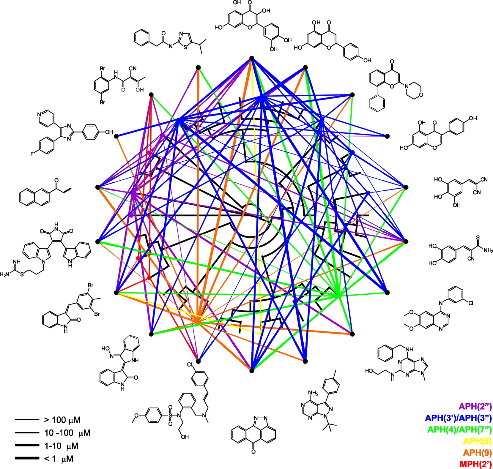 A small molecule discrimination map of the antibiotic resistance kinome