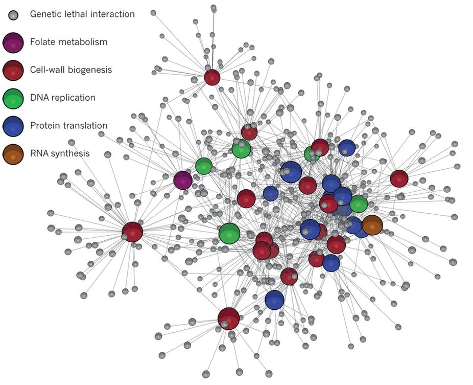 Antibacterial drug discovery in the resistance era