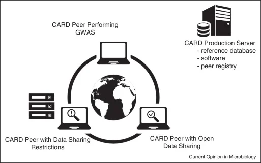 Bioinformatics of antimicrobial resistance in the age of molecular epidemiology