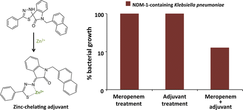 Zinc Chelation by a Small-Molecule Adjuvant Potentiates Meropenem Activity in Vivo against NDM-1-Producing Klebsiella pneumoniae