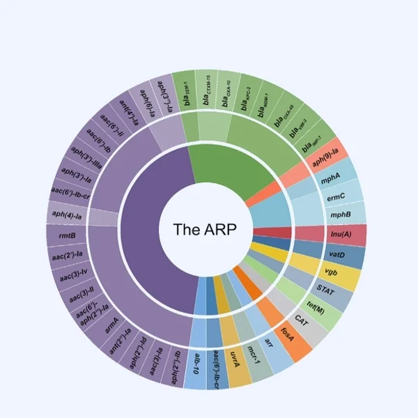 ARP_2.jpg