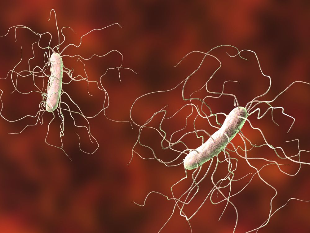 How a forgotten 40-year-old antibiotic could be crucial in the fight against superbugs