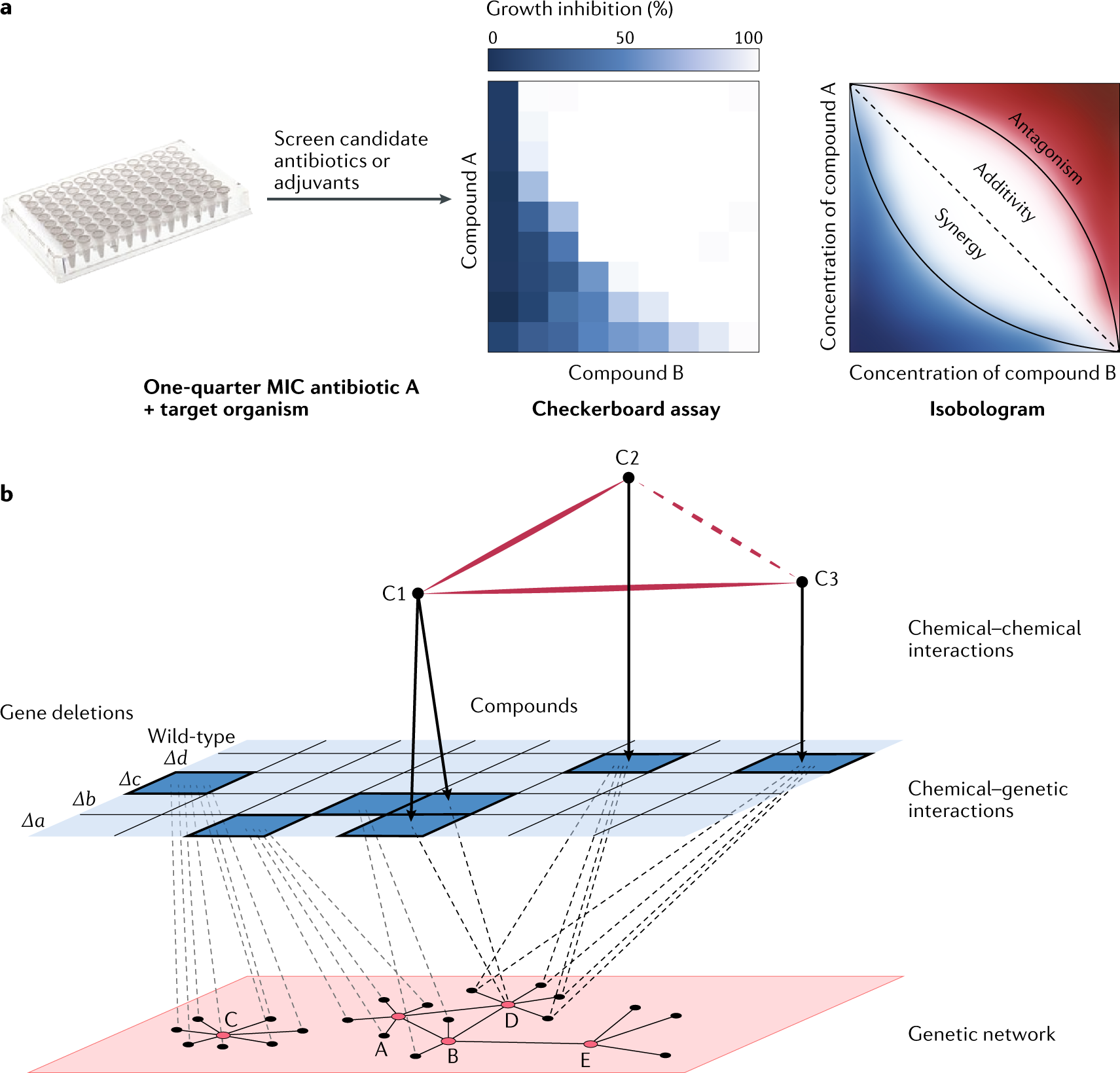 Drug combinations: a strategy to extend the life of antibiotics in the 21st century