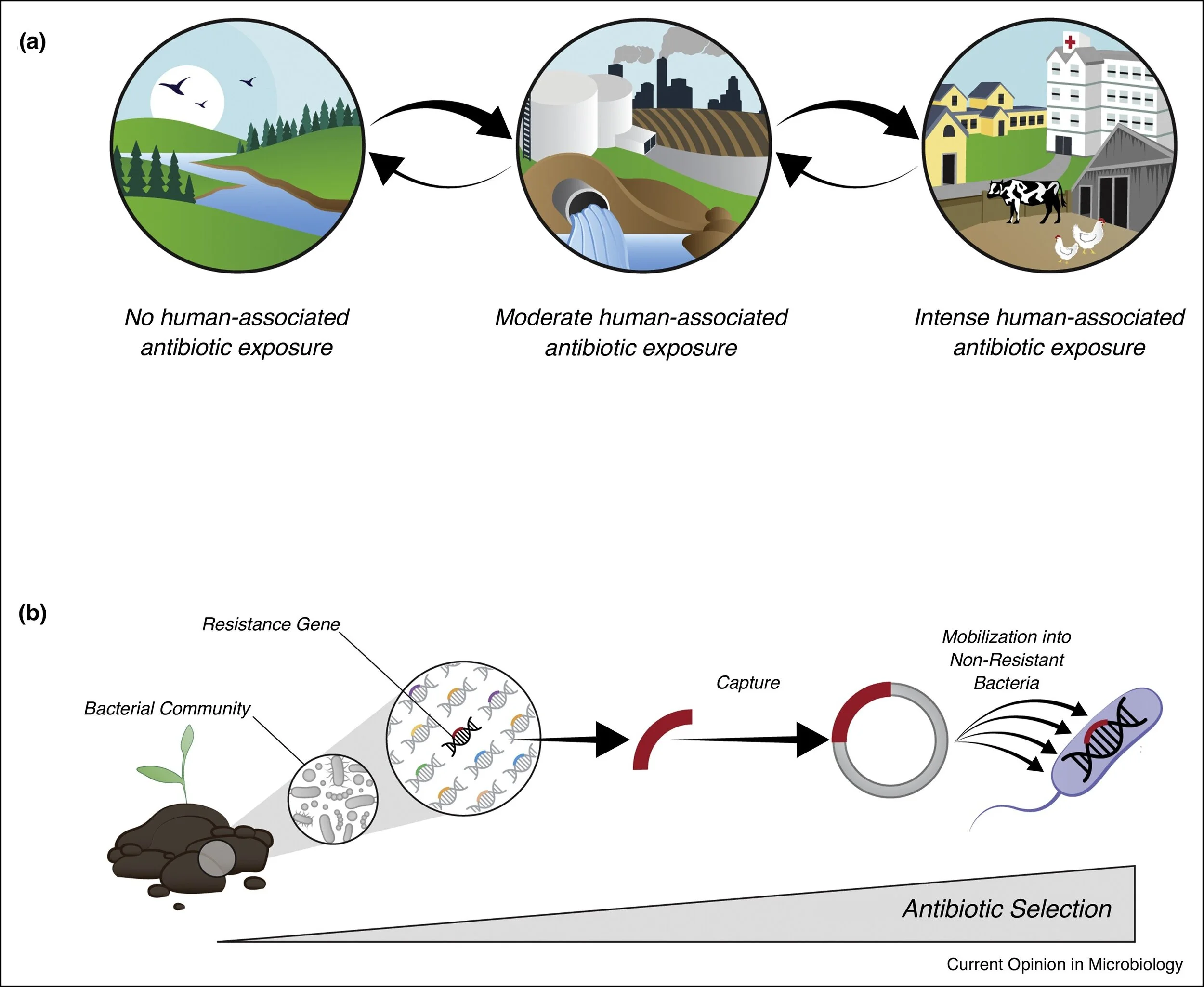 Environmental and clinical antibiotic resistomes, same only different