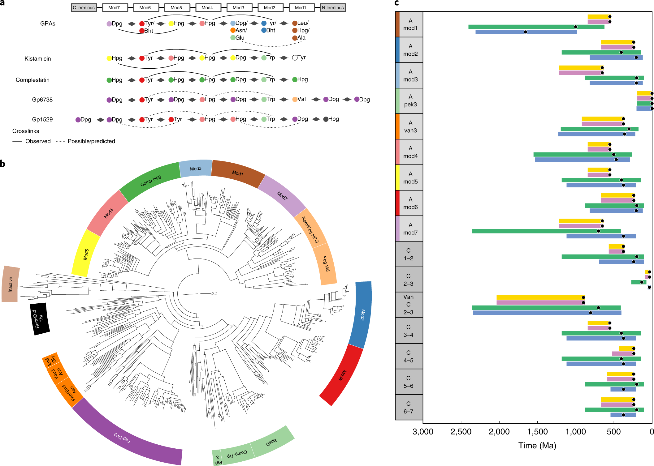 Phylogenetic reconciliation reveals the natural history of glycopeptide antibiotic biosynthesis and resistance