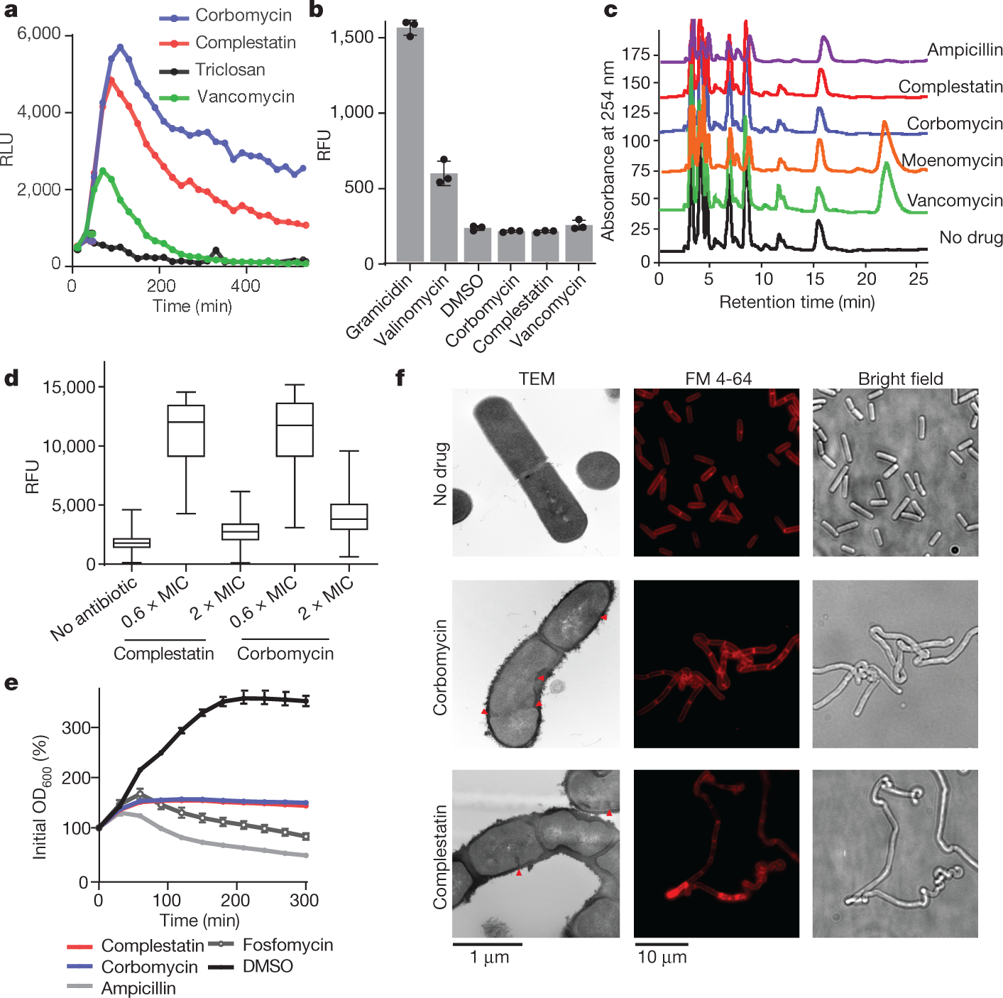 Evolution-guided discovery of antibiotics that inhibit peptidoglycan remodelling