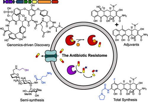 The Antibiotic Resistome: A Guide for the Discovery of Natural Products as Antimicrobial Agents