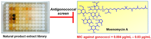 A Screen of Natural Product Extracts Identifies Moenomycin as a Potent Antigonococcal Agent