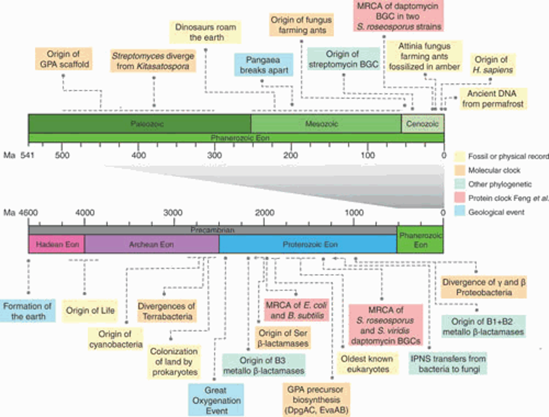 Ancient Antibiotics, Ancient Resistance