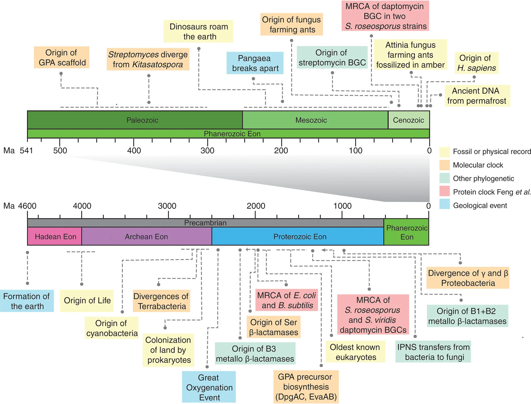 Ancient Antibiotics, Ancient Resistance - New Review out now