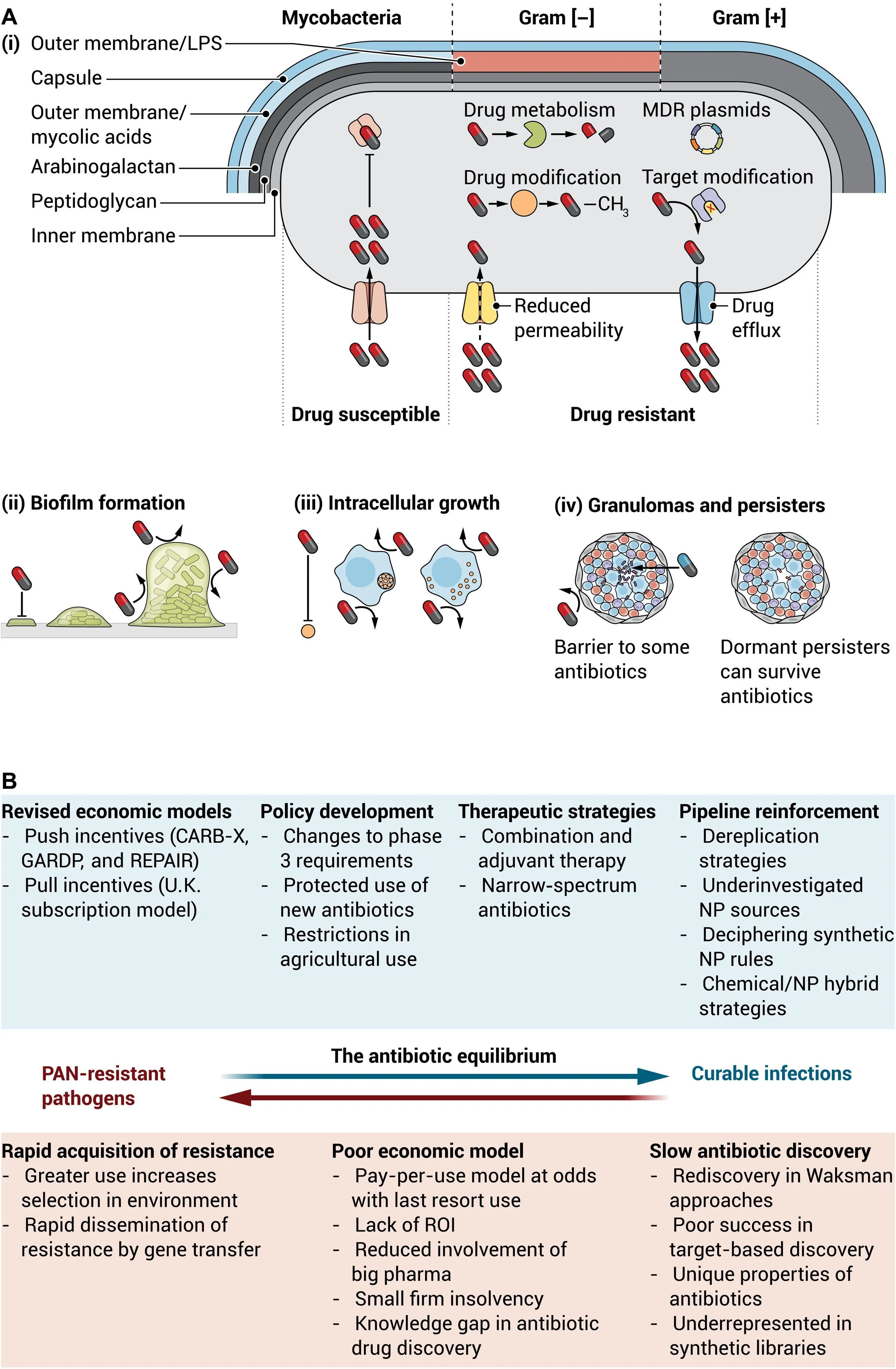 The past, present, and future of antibiotics