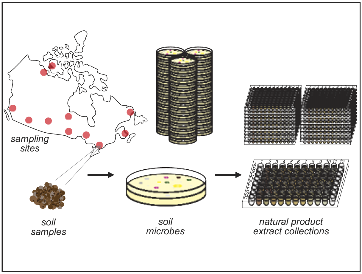 Lessons from assembling a microbial natural product and pre-fractionated extract library in an academic laboratory