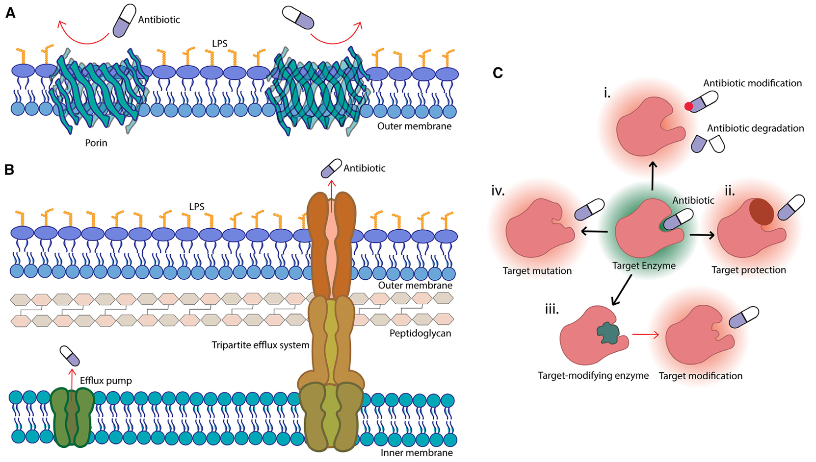 Antibiotic resistance: A key microbial survival mechanism that threatens public health