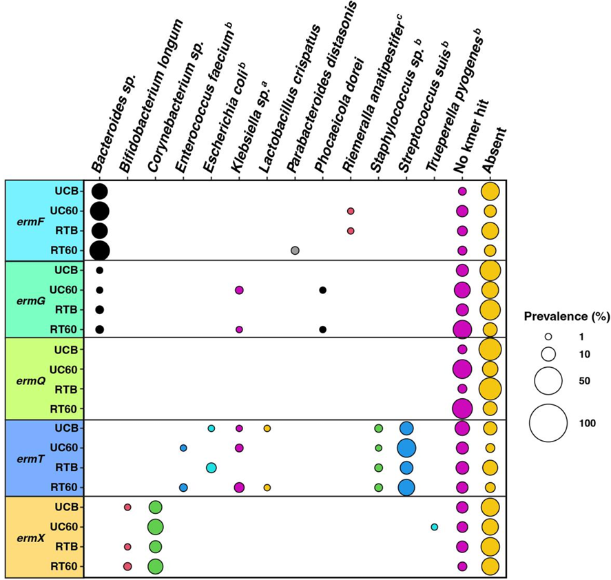 Minimal Impact on the Resistome of Children in Botswana  After Azithromycin Treatment for Acute Severe Diarrheal  Disease
