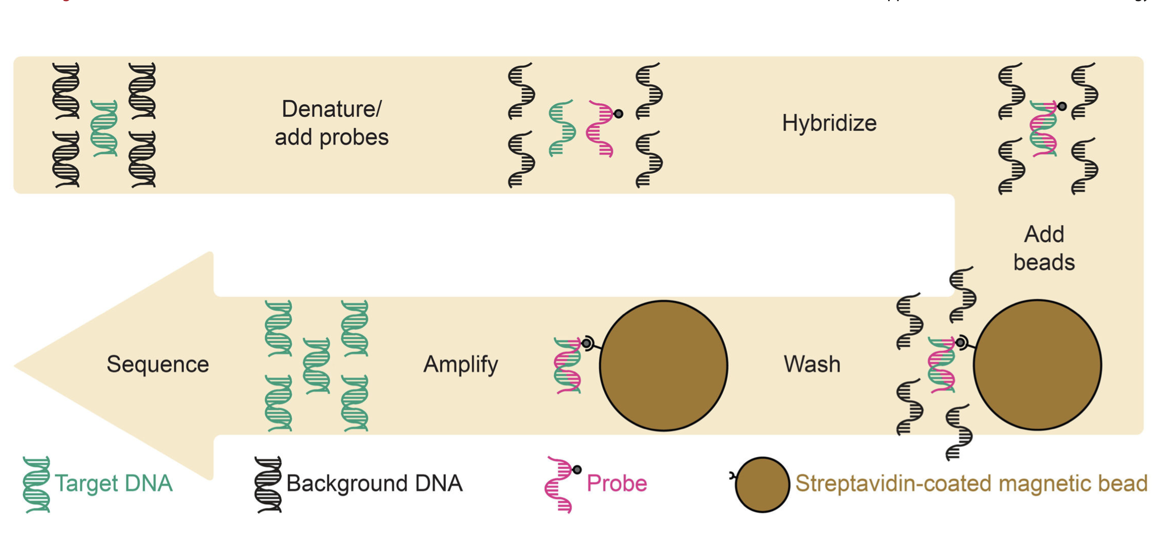 CARPDM: cost-effective antibiotic resistome profiling of metagenomic samples using targeted enrichment