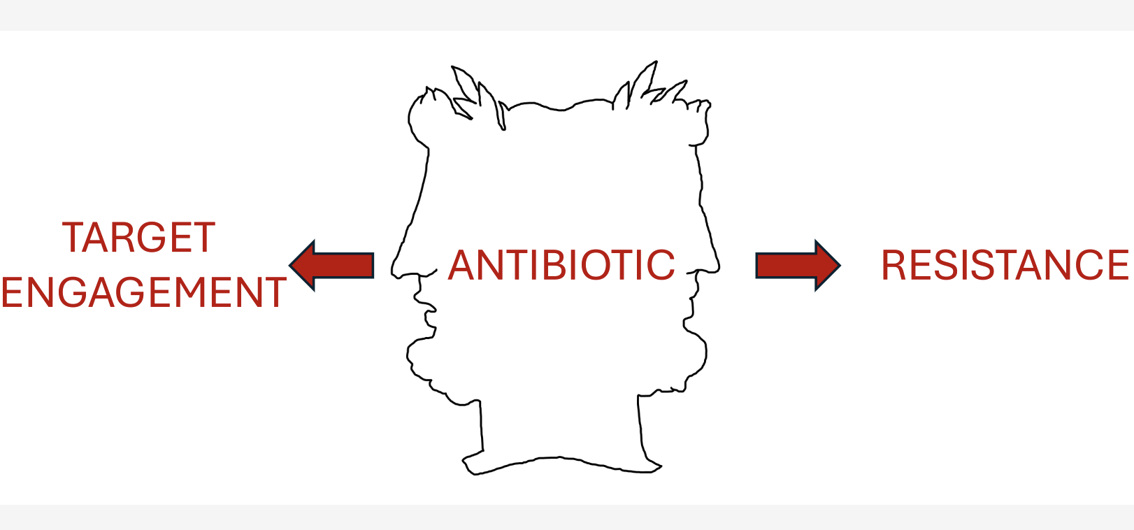 The Janus Effect: The Biochemical Logic of Antibiotic Resistance