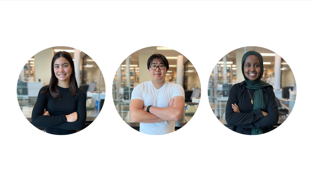 New Batch of Undergrads! — The Wright Lab