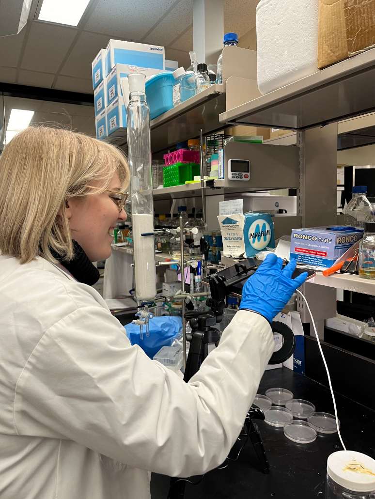 Screenshot 2024-06-06 153539.png