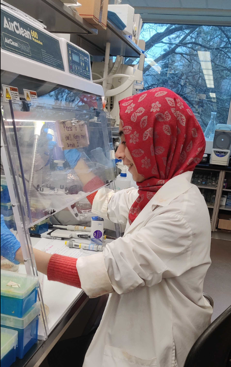 Screenshot 2024-06-06 153606.png