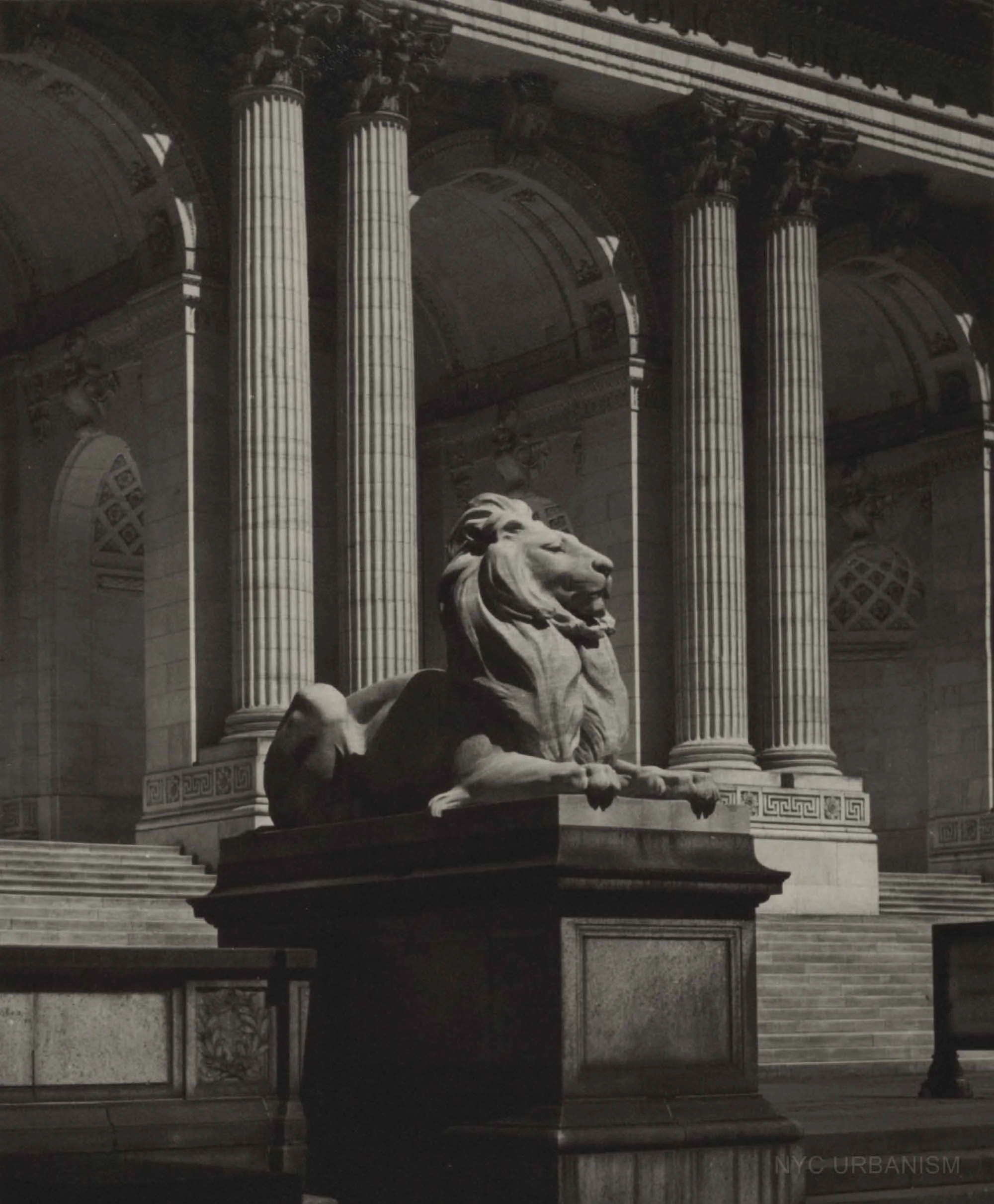 NYPL Lions (1940s)