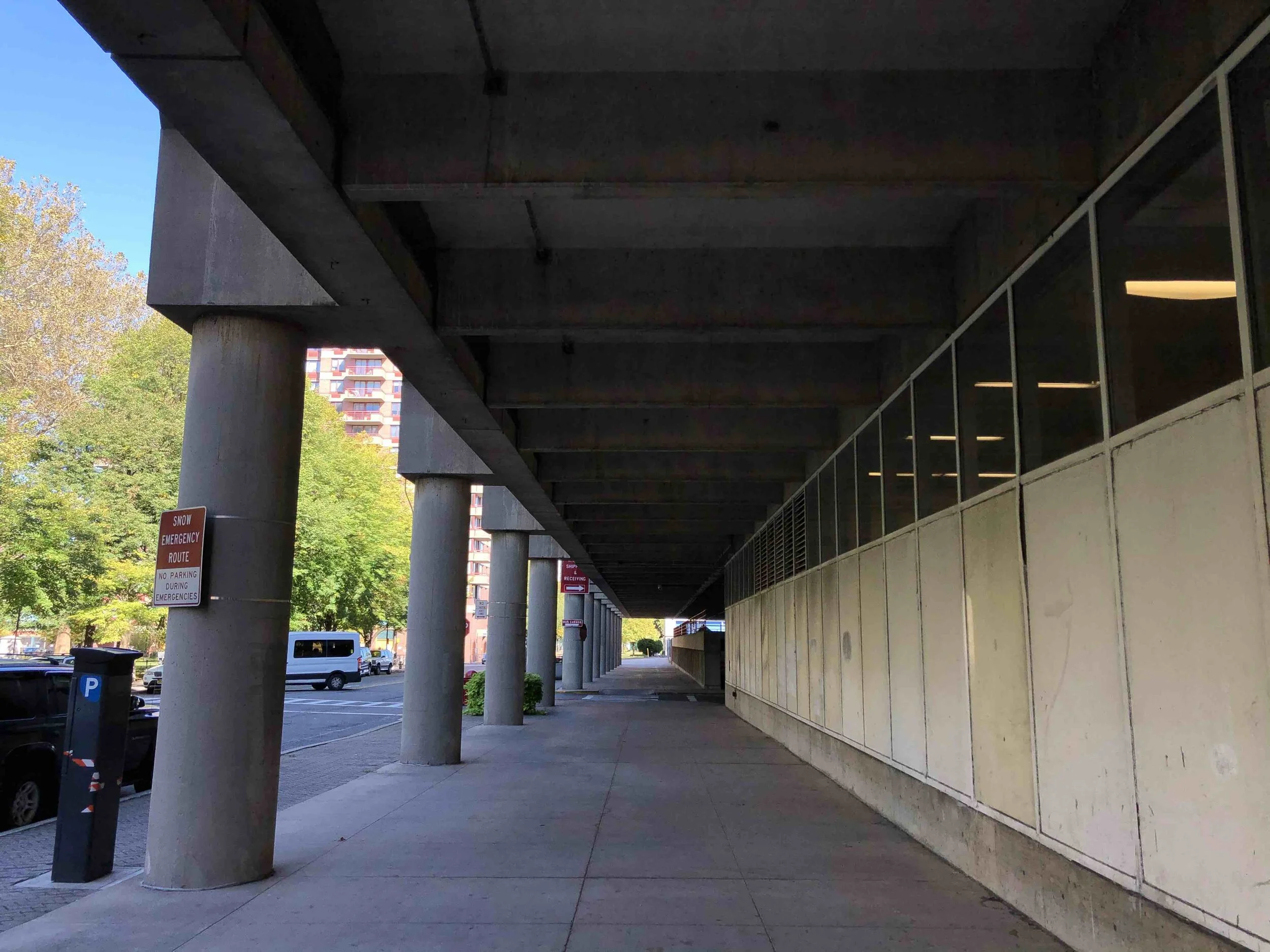 Michael Young for NYC Urbanism, 2019