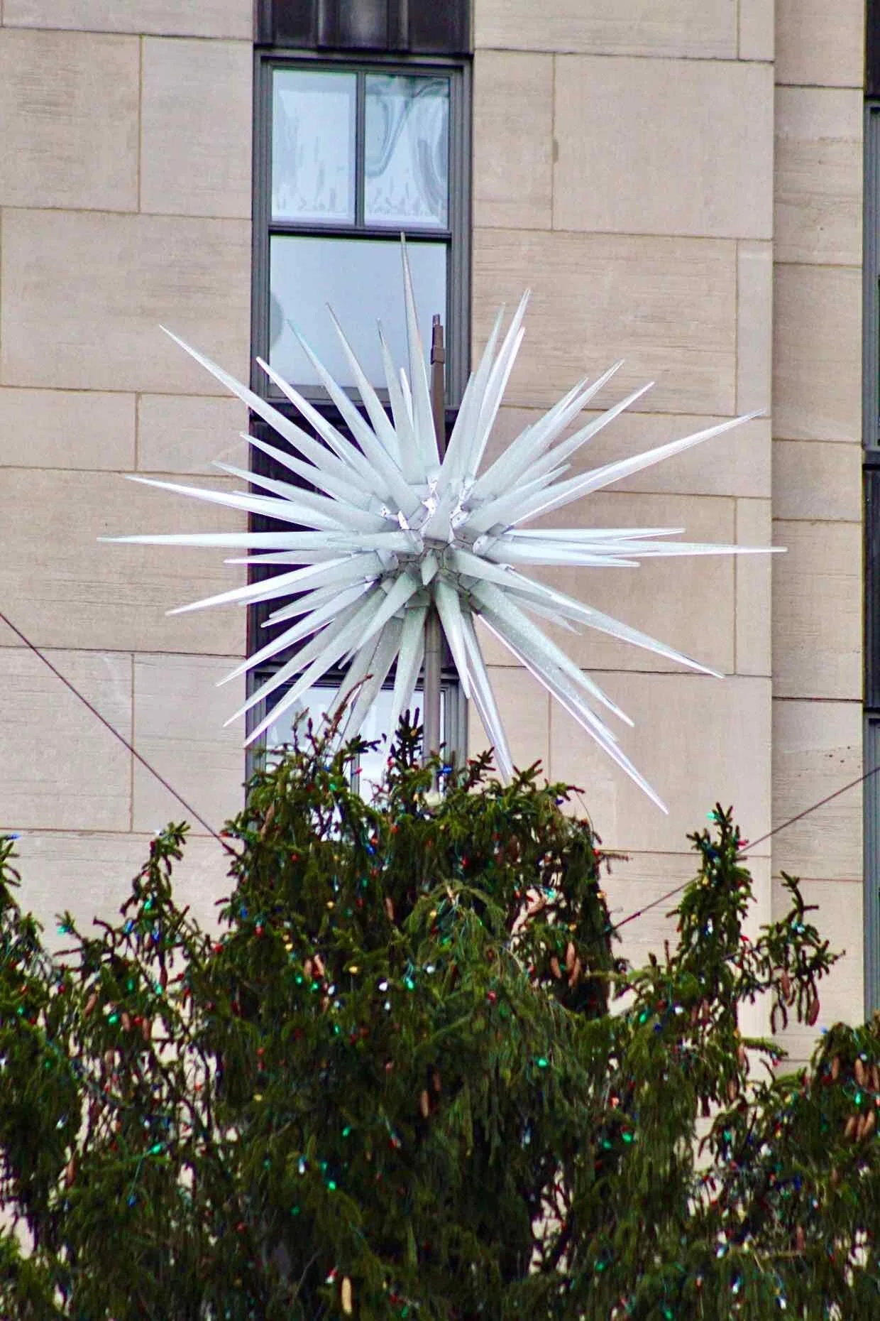  Tree topper, December 2019. Michael Young for NYC Urbanism. 