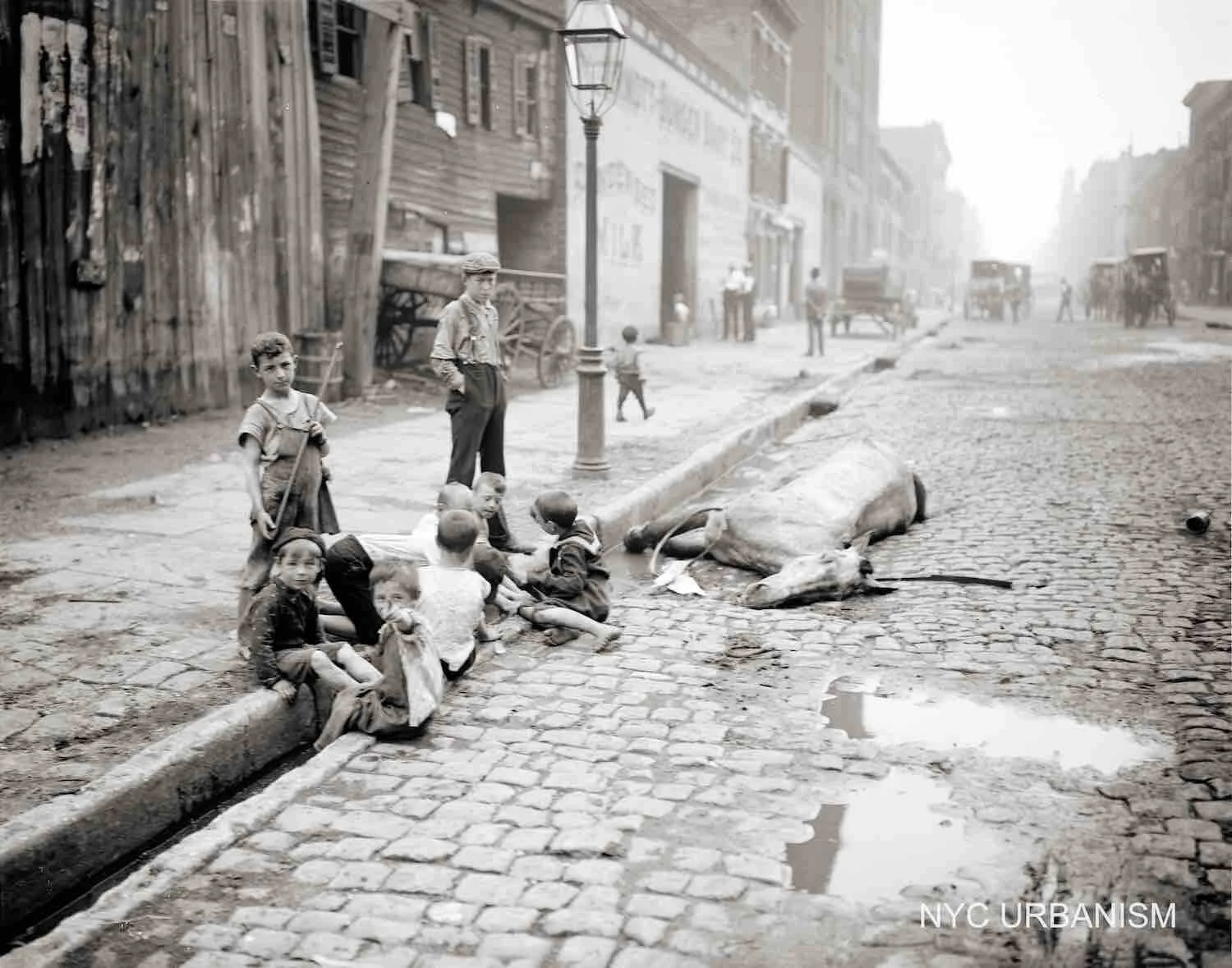 1905 Children Playing Next to Dead Horse