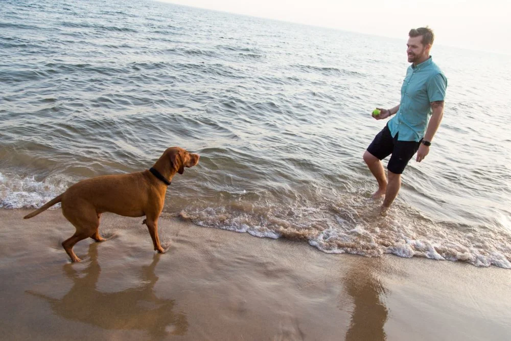 dogtelligent, connected collar, dogtelligent connected collar, smart dog collar, lake michigan business photography, business photography, business photography grand rapids, seamless accelerator photography, photography seamless accelerator, grand rapids business photos, business photos grand rapids, grand rapids business photography, business photography grand rapids, grand rapids business photographer, business photographer grand rapids (7)
