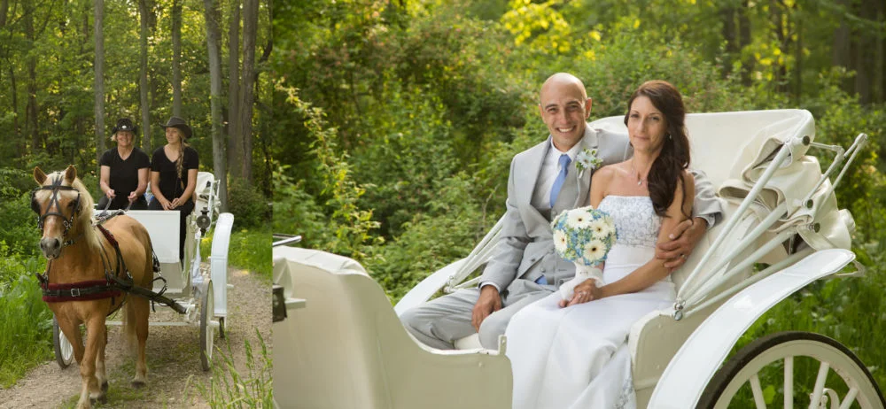 032_IMG_2520_blog-1000x462.jpg