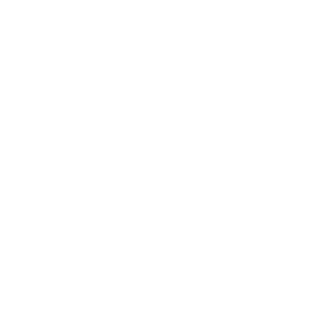 LVL 13